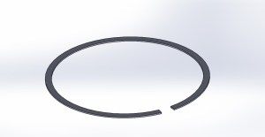 A screenshot of the Solidworks CAD model we used to print the ring.